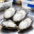 Fresh Raw Oysters - view 1