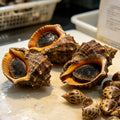 Freshly Prepared Sea Snails - view 1