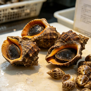 Freshly Prepared Sea Snails - view 1